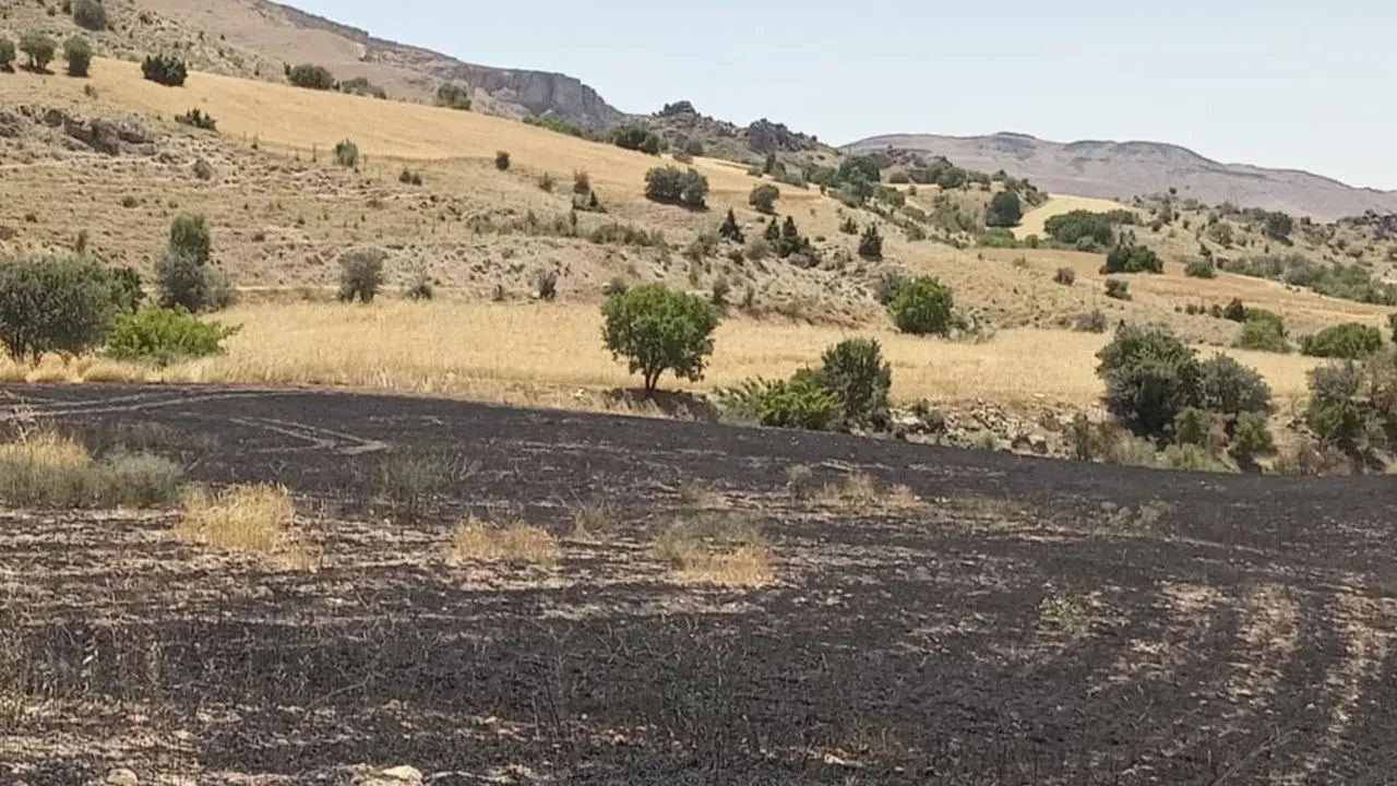 Tunceli’nin Çemişgezek ilçesinde arpa tarlası yangını