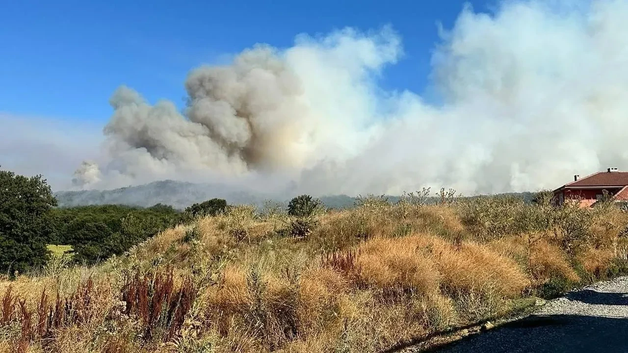 Bilecik’te Pazaryeri İlçesinde Orman Yangınına Karadan Ve Havadan Müdahale Sürüyor