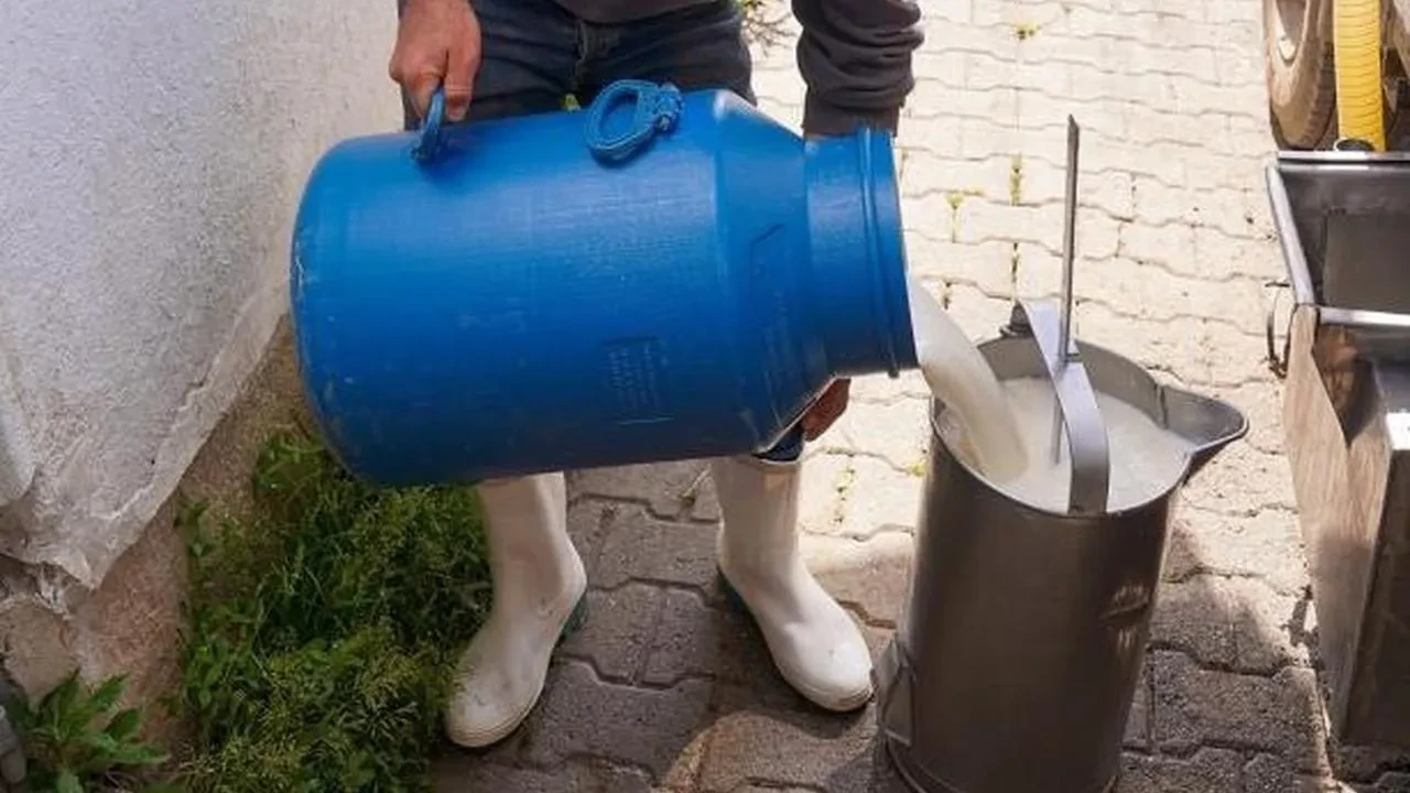 Aydıntepe’de süt hijyeni kursu üreticilere kaliteli üretim için bilgi sağlıyor