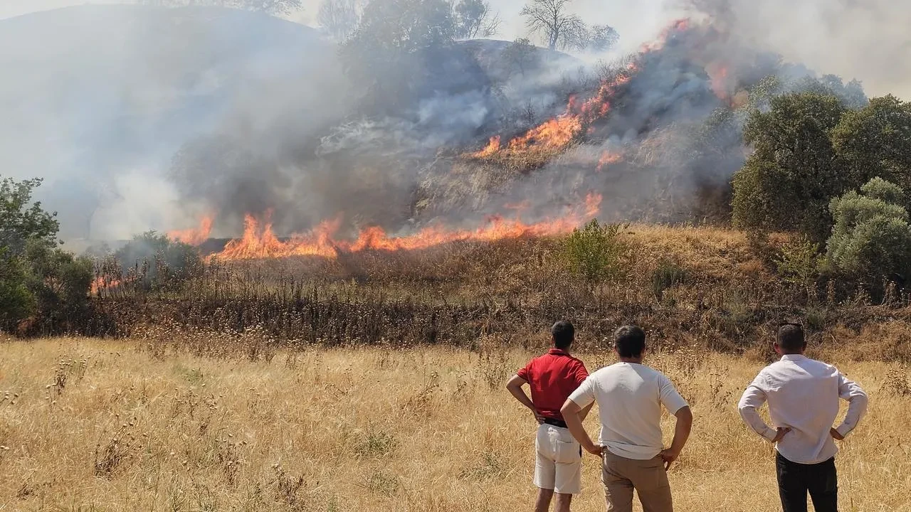 Nazilli'de zirai alanda çıkan yangın itfaiye ekiplerince kontrol altına alındı
