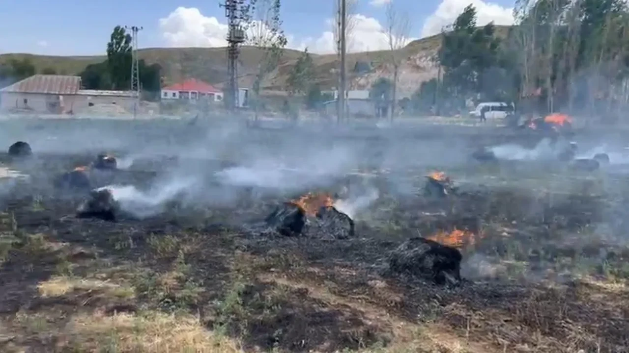 Yüksekova Karlı köyünde bin bağ ot yandı