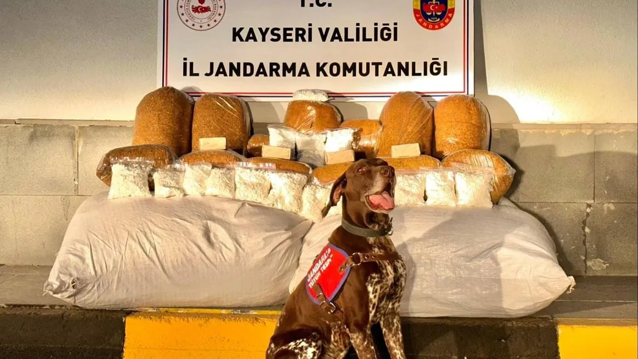 Kayseri'de jandarma otobüste 450 kilogram kaçak tütün ele geçirdi