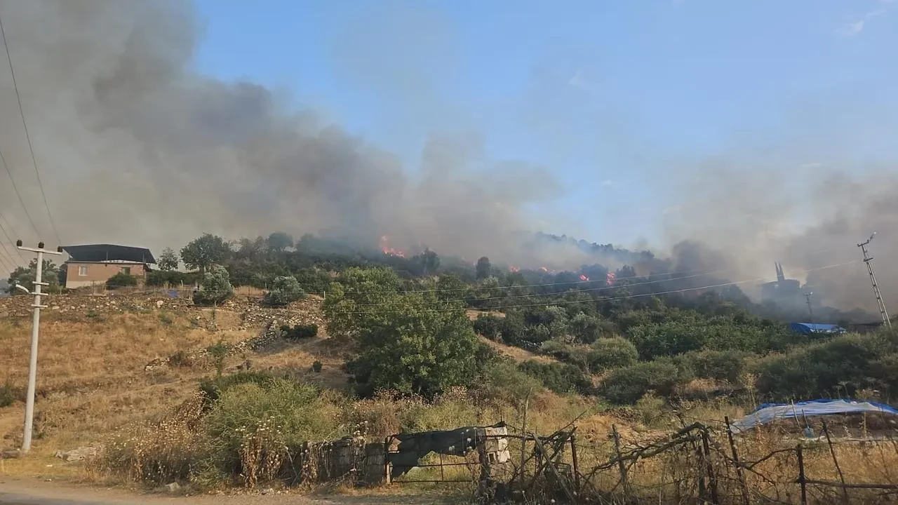 Aydın'ın Çine ilçesinde çıkan yangın ekiplerin müdahalesiyle söndürüldü