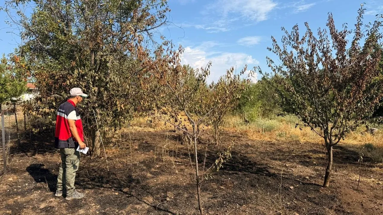 Şaphane’de Meyve Bahçesinde Yıldırım Yangını Hasar Tespit Çalışması Yapıldı