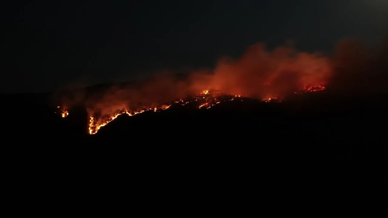Çankırı'nın Ilgaz ilçesinde orman yangını dron ile görüntülendi