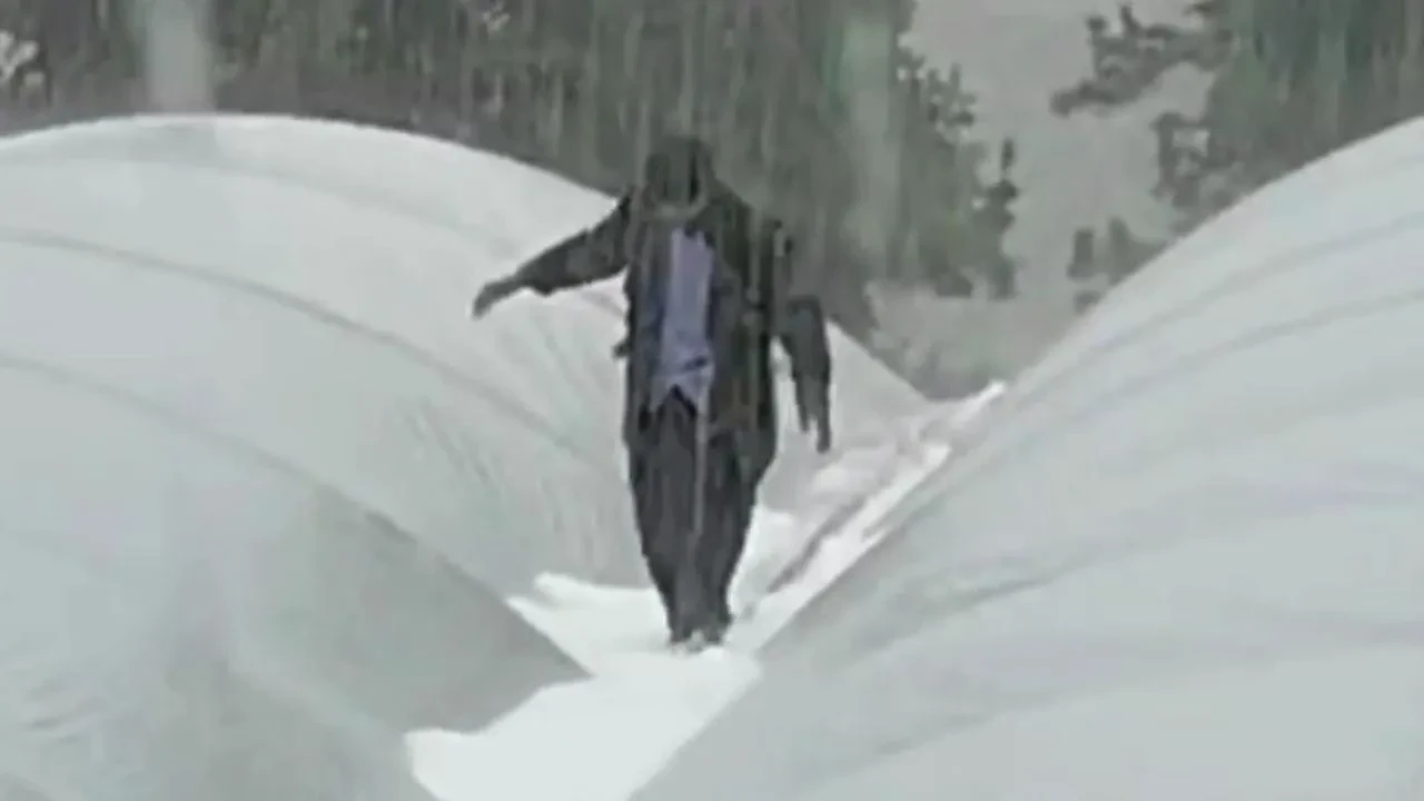 Mersin Erdemli’de Dolu Yağışı Tarım Arazilerine Zarar Verdi