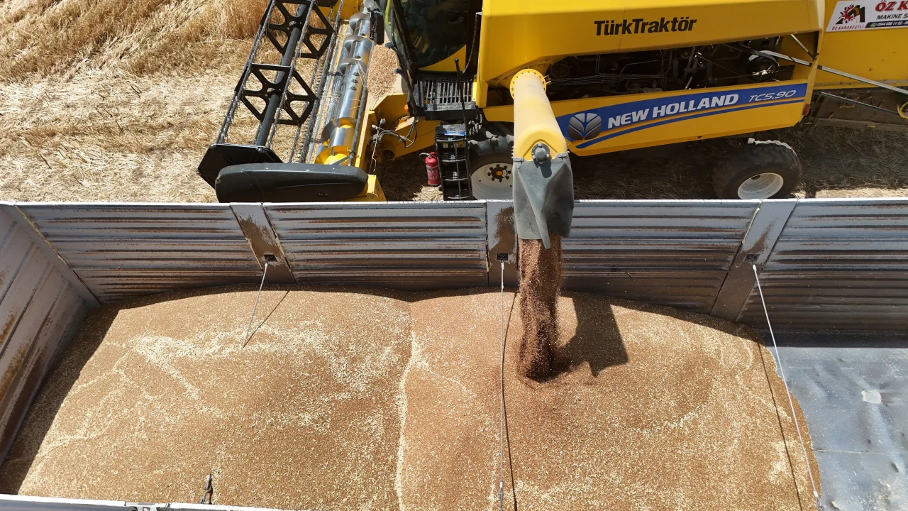 Bitlis'te buğday ve arpa hasadından 20 milyar TL gelir bekleniyor