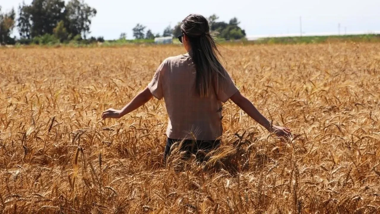 Bayburt’ta Aydıntepe’de Termometreler 37 Dereceyi Gösterdi