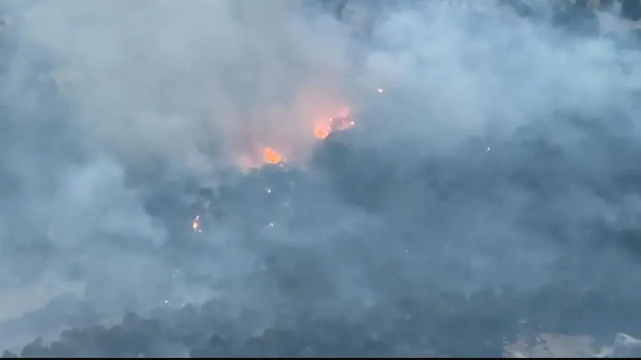 Diyarbakır Lice'de orman yangını 10 saat sonra kontrol altına alındı