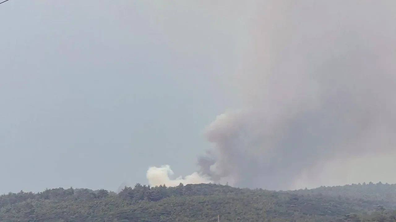 Yatağan İlçesinde Yıldırım Düşmesi Sonucu Orman Yangını Çıktı
