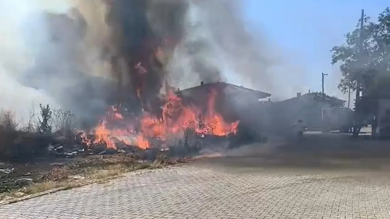 Çınarcık'ta zeytinlikte çıkan yangın itfaiye ekiplerince söndürüldü