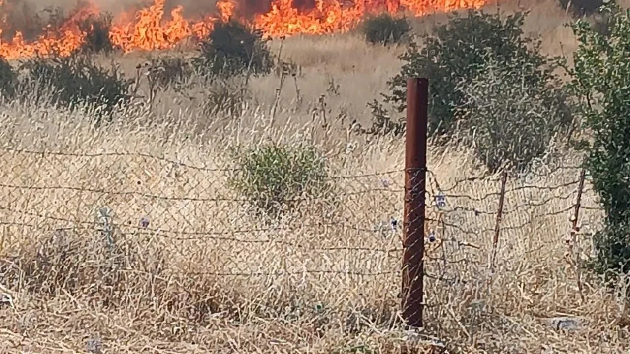 Batman sason ilçesinde çıkan orman yangını itfaiye ve jandarma tarafından söndürüldü