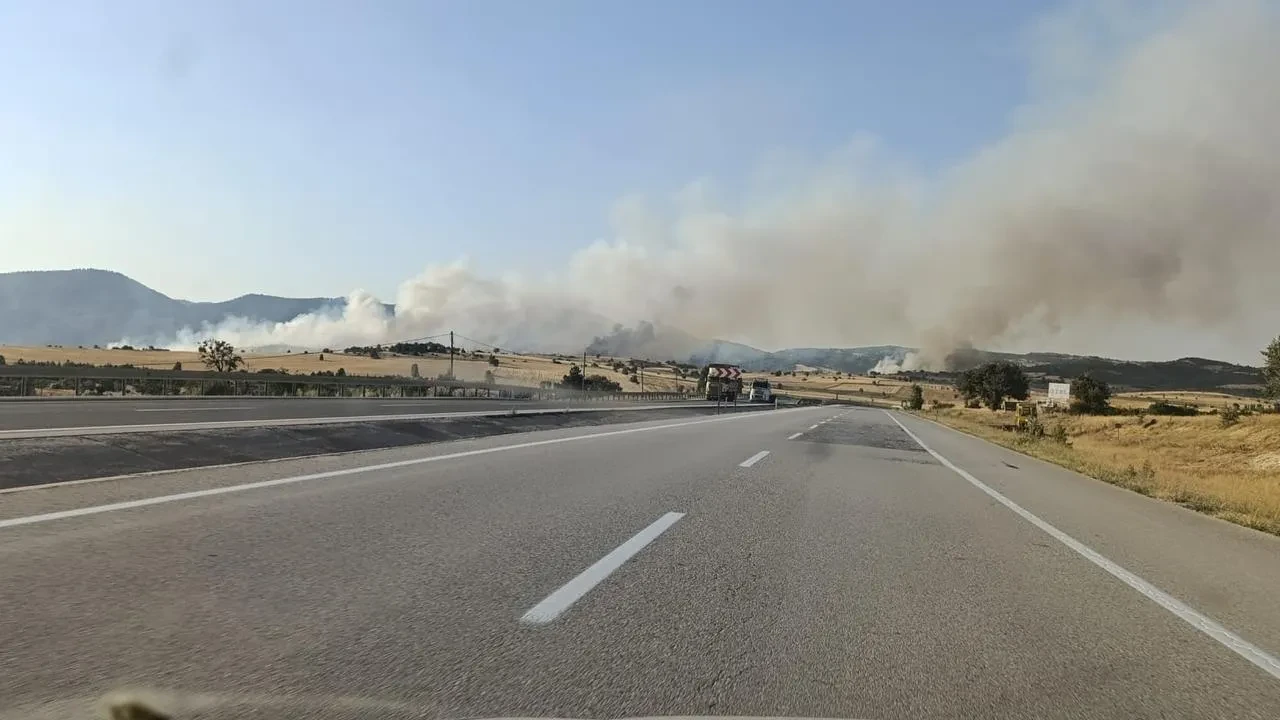 Kütahya Dumlupınar’daki orman yangını 5 saatte söndürüldü