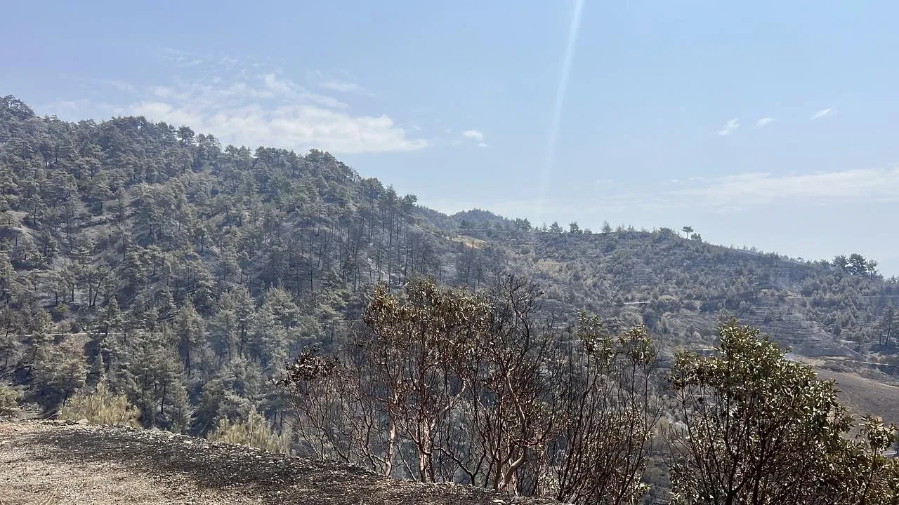 Kahramanmaraş'ta 1.500 hektarlık orman yangını kontrol altına alındı