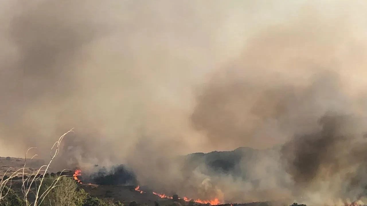 Aliağa'da çıkan otluk yangınına itfaiye ve orman ekipleri müdahale ediyor
