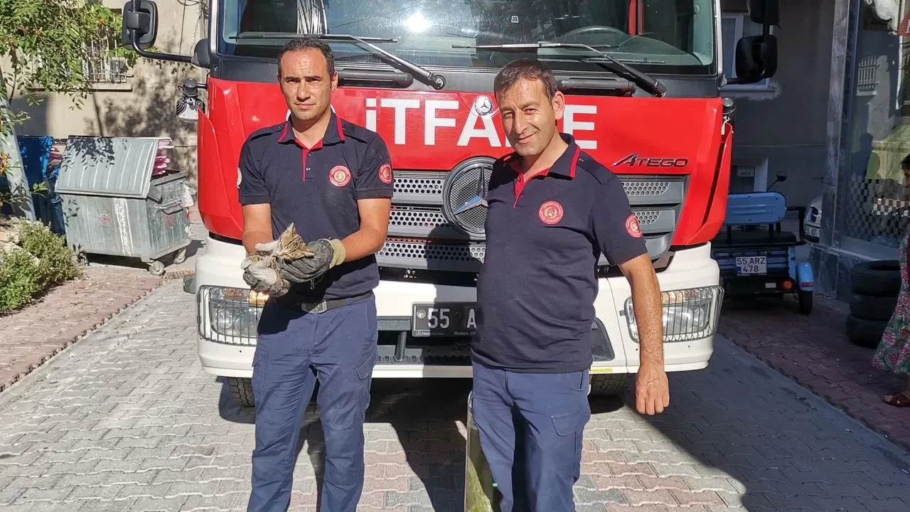 Araç altındaki yavru kediyi Samsun itfaiyesi kurtardı