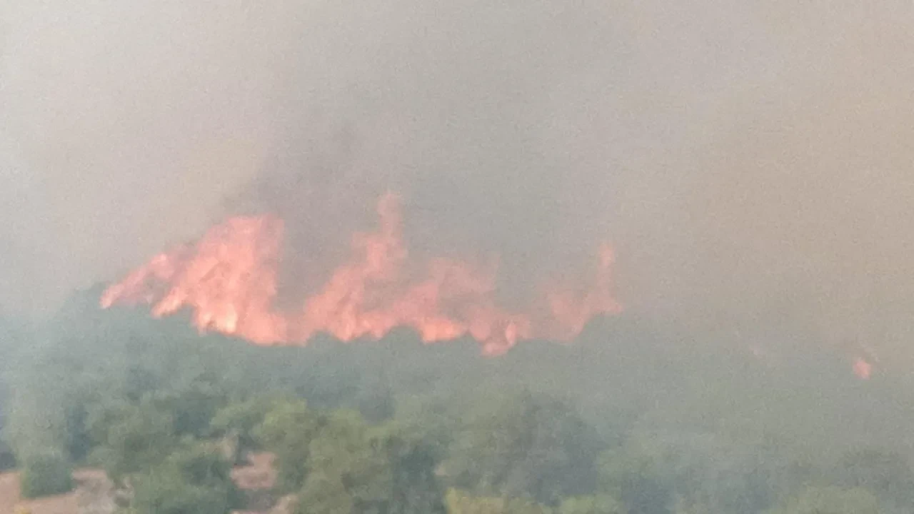 Bursa ve Balıkesir sınırında orman yangını nedeniyle Bayıryüzügüney Mahallesi tahliye edildi