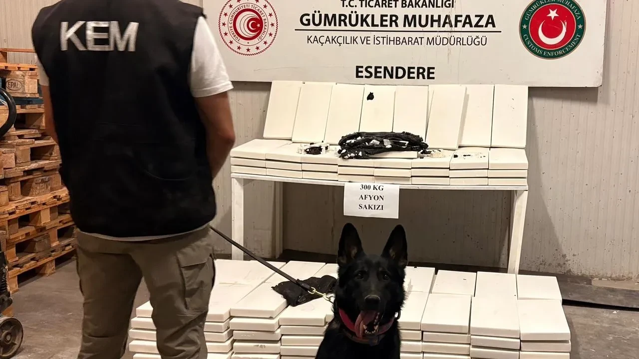 Hakkari'nin Esendere Gümrük Kapısı'nda 300 kilogram afyon sakızı ele geçirildi