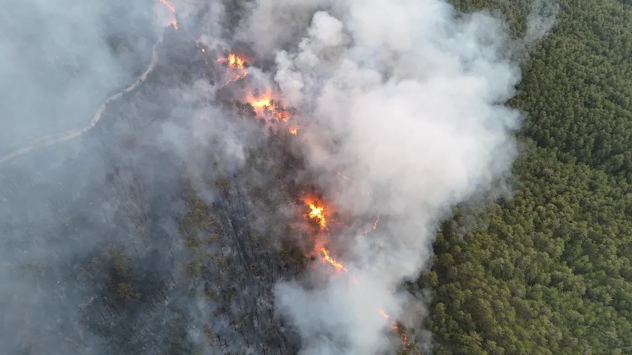 Karabük'ün Ovacık ilçesinde yangın yeniden alevlendi, 95 ev tahliye edildi