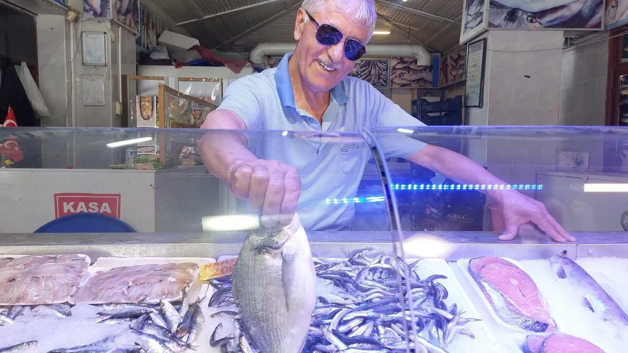 Eskişehir’de Sardalya Ve Kefal Mevsimi Başladı Fiyatlar Arttı