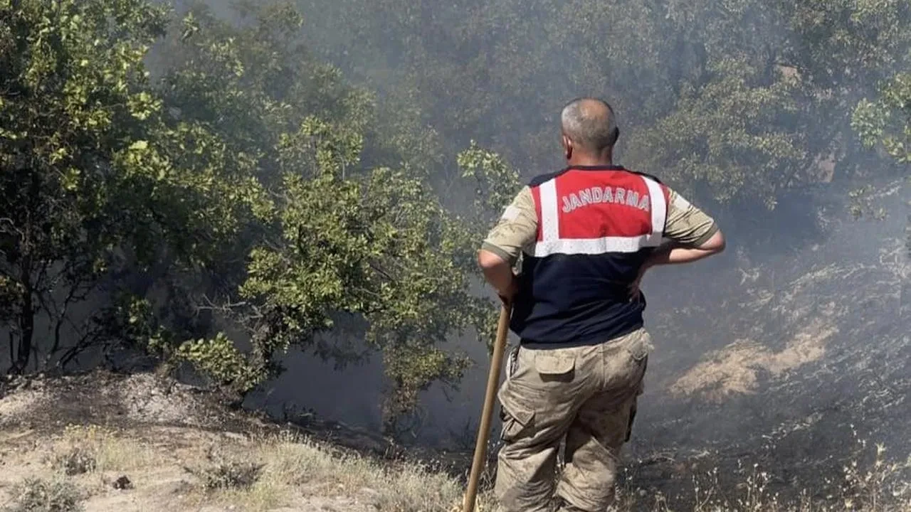 Çemişgezek’te Otluk Ve Meşelik Alanda Çıkan Yangın Ekiplerce Söndürüldü