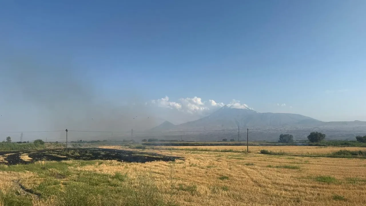 Iğdır'ın Karakoyunlu ilçesinde anız yangını tarlaları tehdit etti