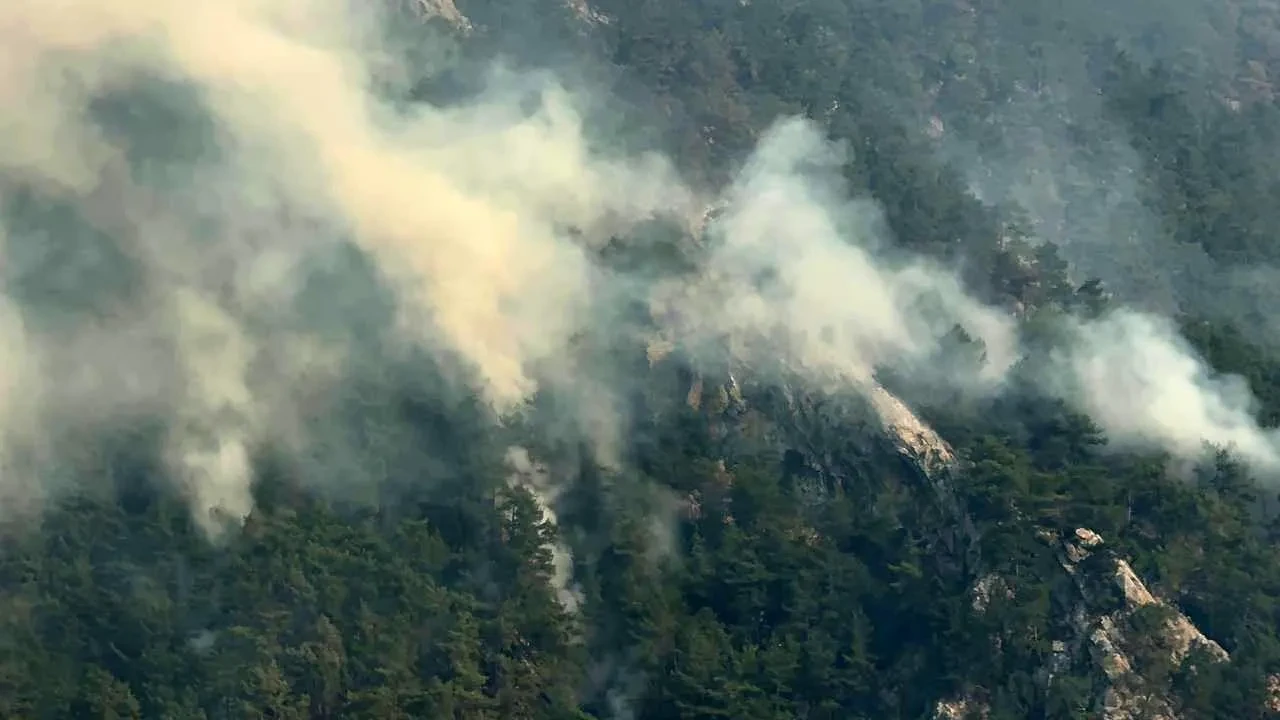 Adana’da yangınlara sebep olduğu iddia edilen 3 kişi tutuklandı
