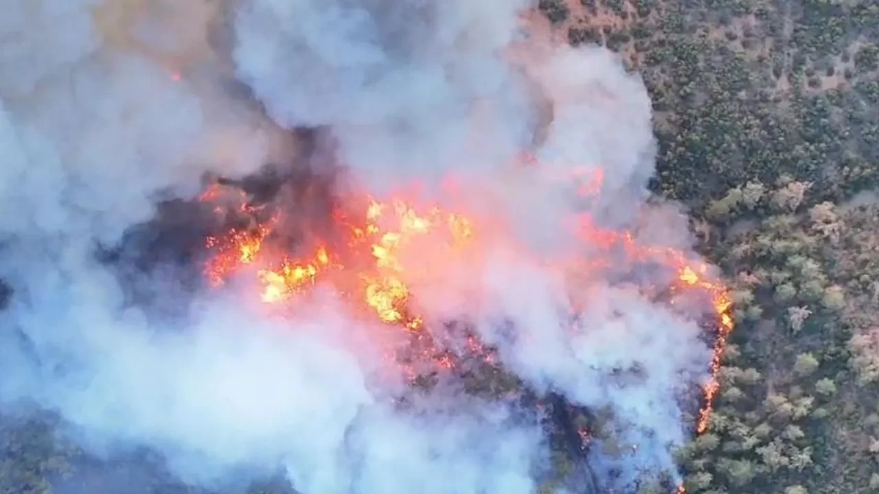 Bursa’da Kestel ve Gürsu Arasında Orman Yangını Büyüyor