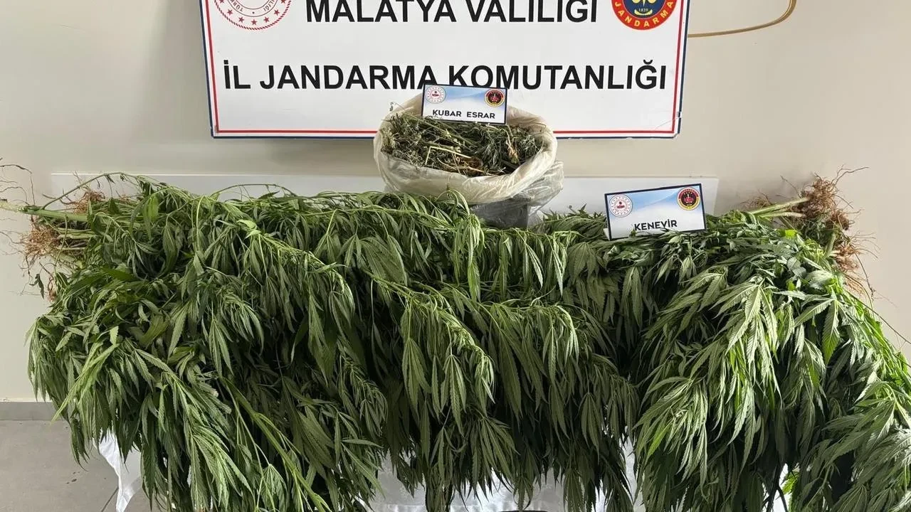 Malatya’da Jandarma uyuşturucu operasyonuyla esrar ve kenevir ele geçirdi