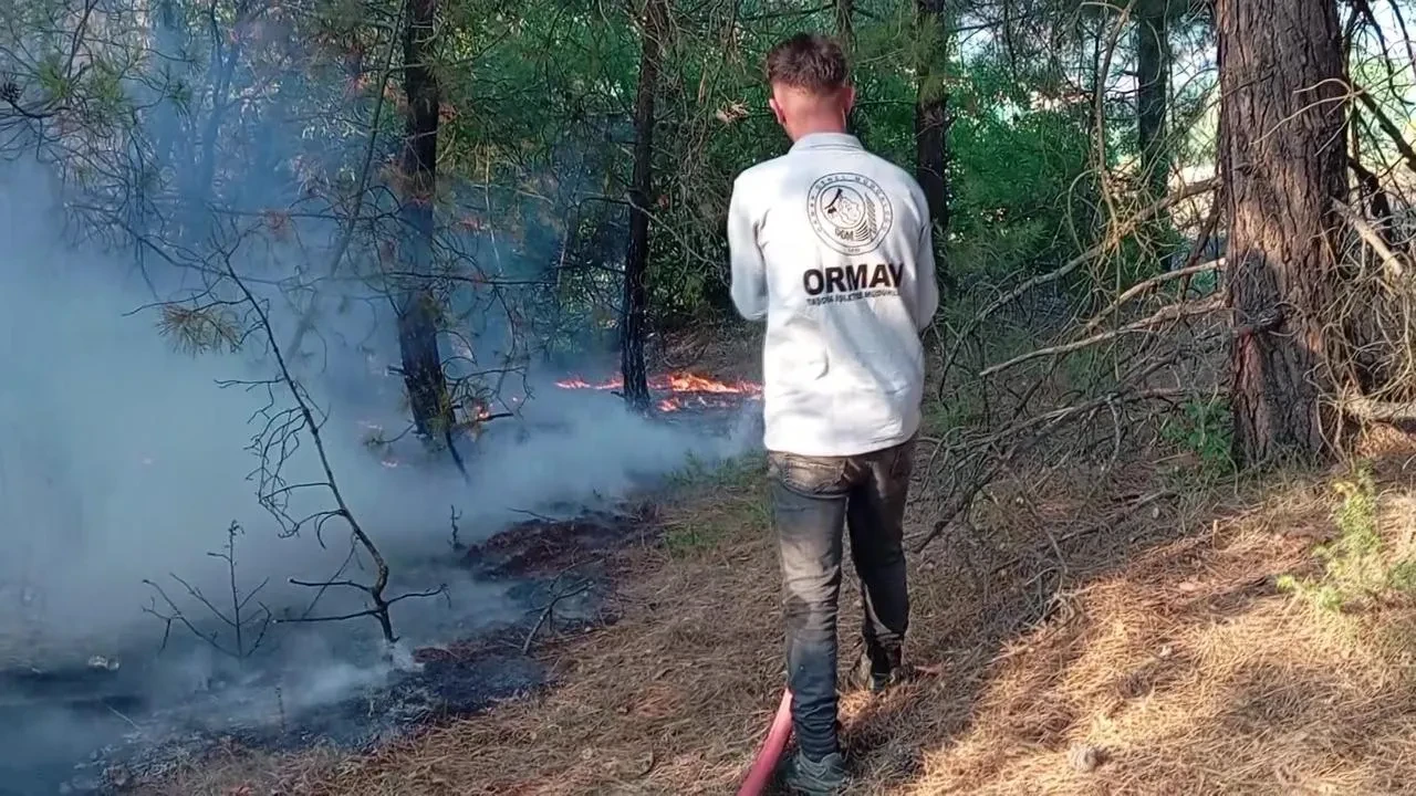 Taşova’da orman yangınında 10 dekar orman ve 15 dekar tarım arazisi zarar gördü