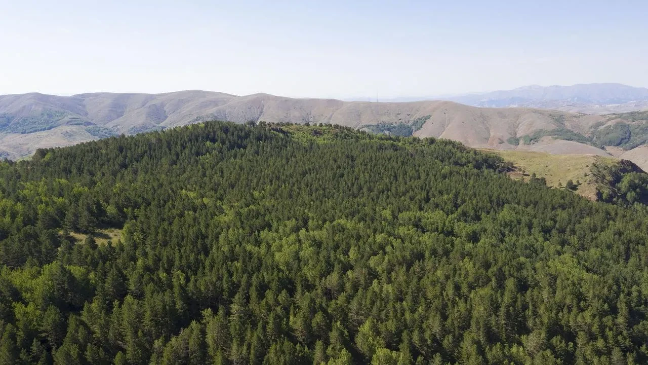 Sivas'ta orman yangınlarına karşı giriş yasağı ve tedbirler alındı