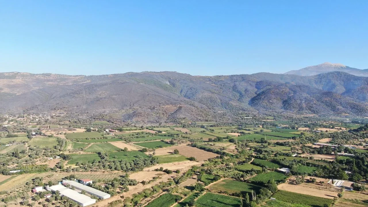 Ödemiş ormanları üç gündür yanmaya devam ediyor