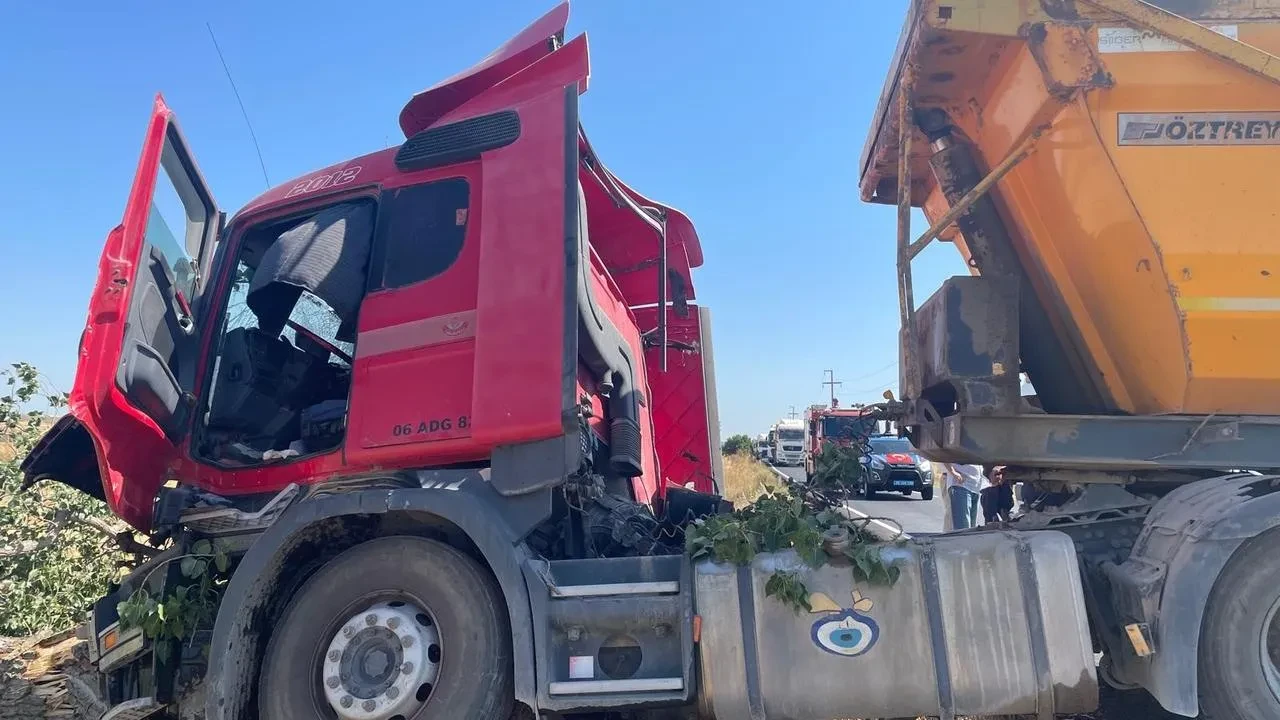 Tekirdağ'da hafriyat kamyonu ağaca çarptı 2 kişi yaralandı.