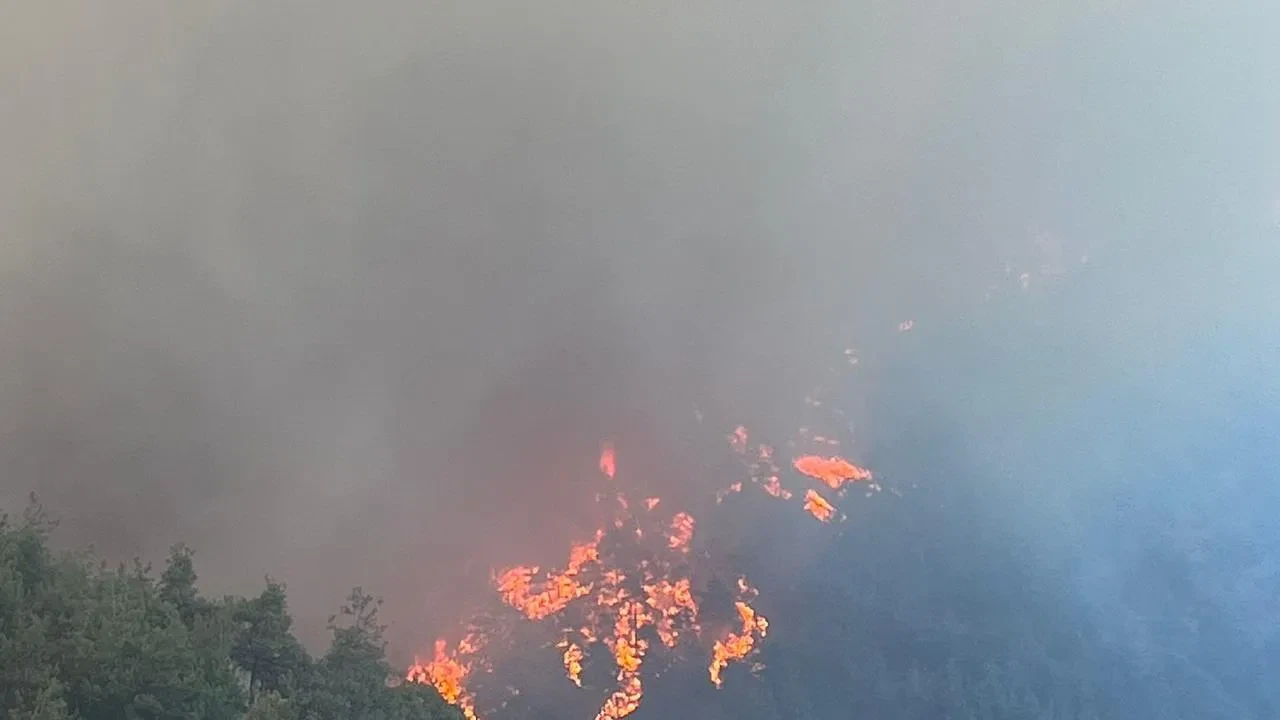 Bursa'nın Orhaneli ve Gürsu ilçelerinde orman yangını evleri tehdit ediyor