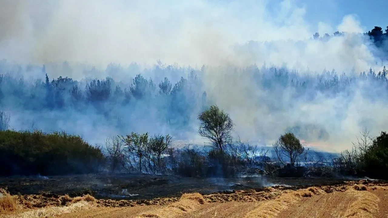 Edirne'nin Keşan ilçesinde orman ve anız yangını ekipler tarafından kontrol altına alındı