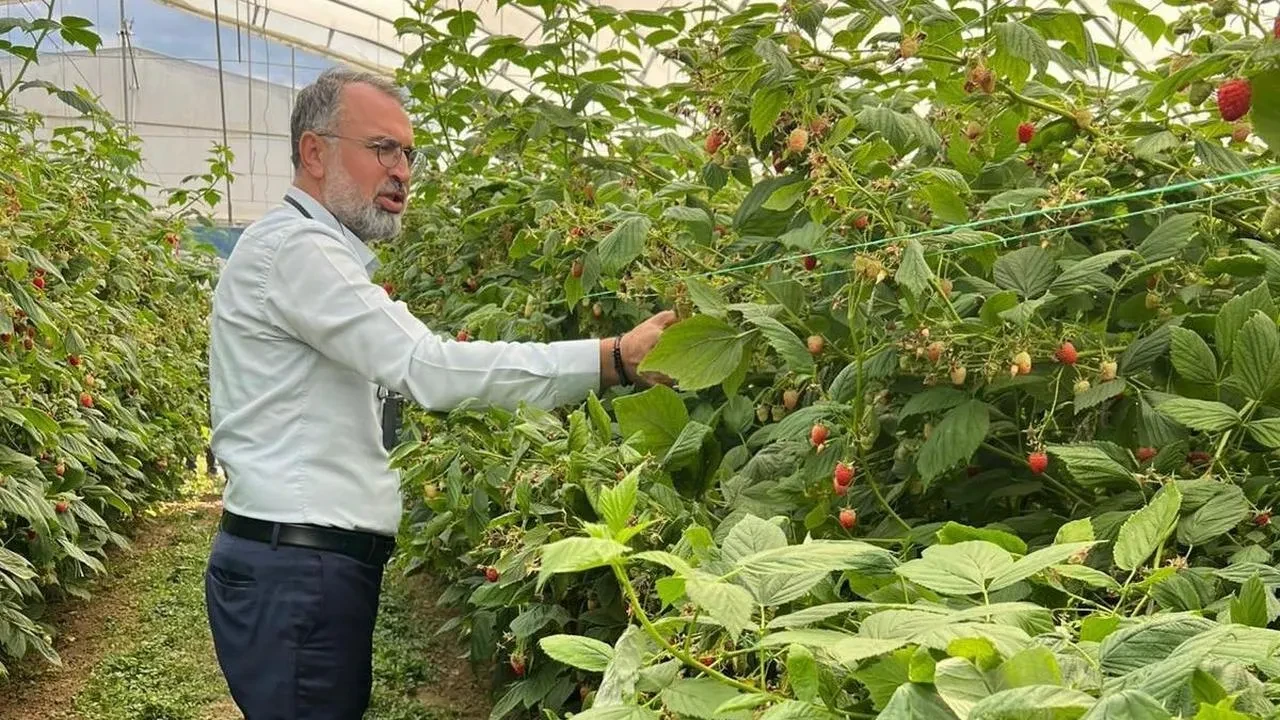 Bursa Heyeti Sırbistan’da Ahududu Üretim İş Birliği İmzaladı