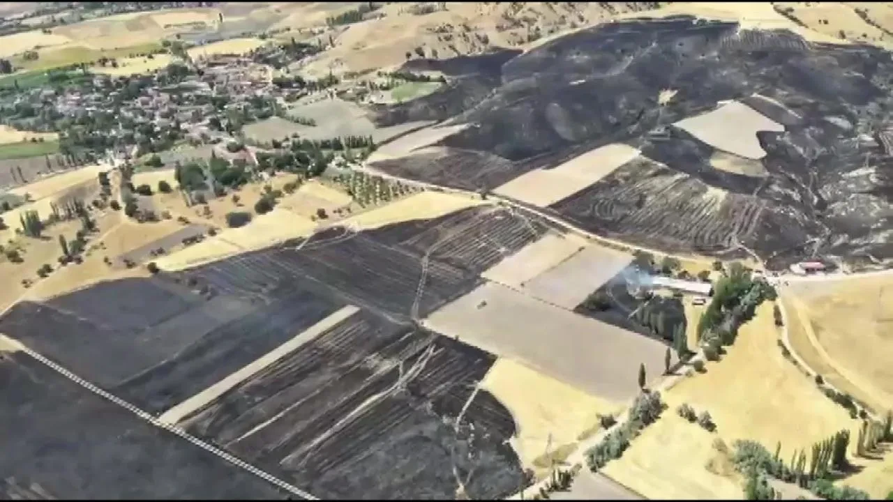 Merzifon’da çıkan yangında 500 dönüm tarım arazisi küle döndü