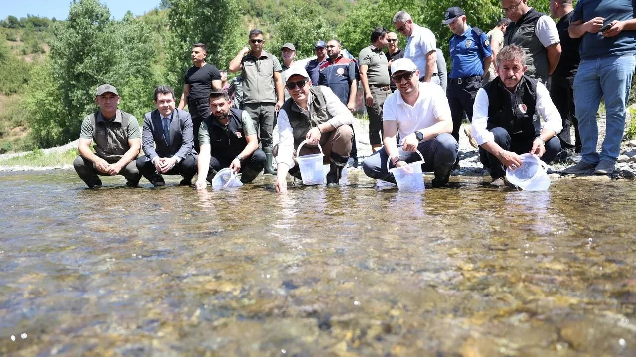 Düzce'de Yığılca ilçesine 20 bin benekli alabalık salındı