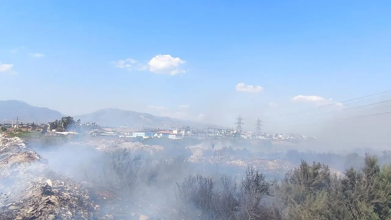 Aydın'ın Efeler ilçesinde kanal kenarında çıkan yangın rüzgarla yayıldı