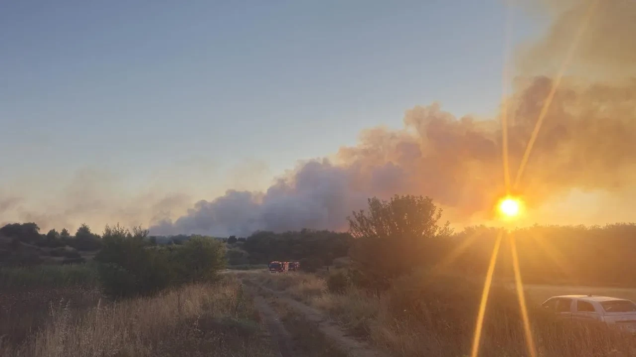Tekirdağ Saray’daki yangın kontrol altına alındı ve 2 hektar alan zarar