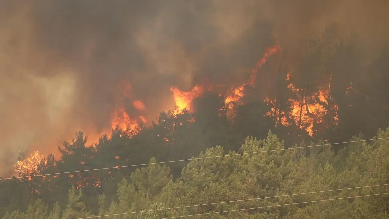 Karabük’te Orman Yangını Rüzgarın Etkisiyle Yeniden Alevlendi