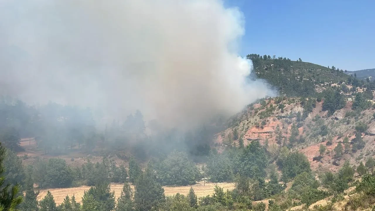 Denizli’de Orman Yangını Havadan Ve Karadan Müdahaleyle Kontrol Altına Alındı