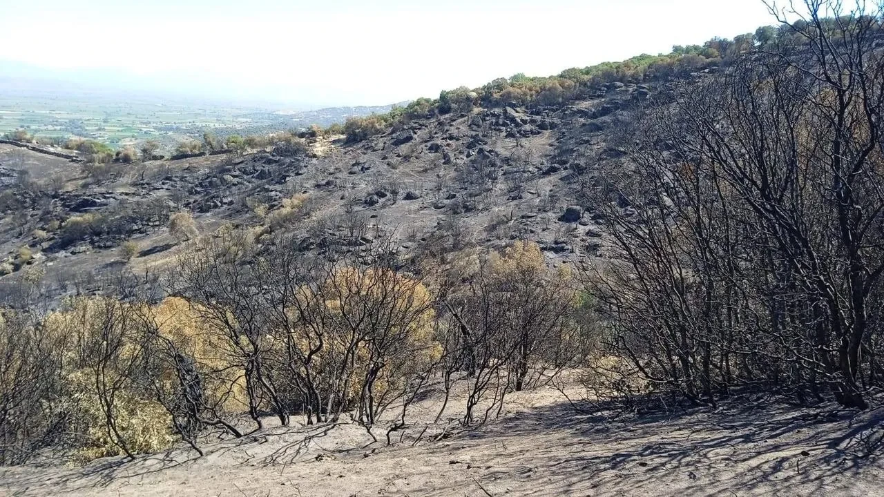 Şahin Tepesi Mesire Alanında çevre felaketi yaşanıyor