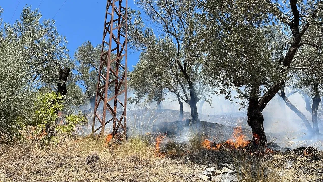 Edremit Güre’de Zeytinlik Yangını Ekiplerce Kontrol Altına Alındı