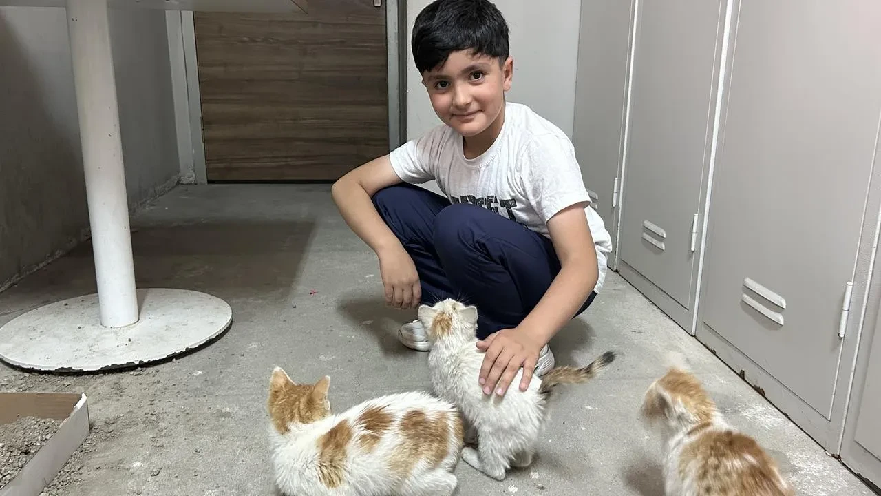 Diyadin Gençlik Merkezi Öğrencileri Yavru Kedilere Sahip Çıktı