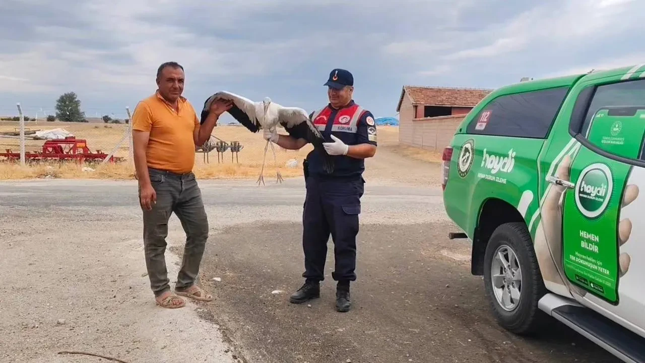 Sorgun’da Yaralı Leylek Tedavi Altına Alındı