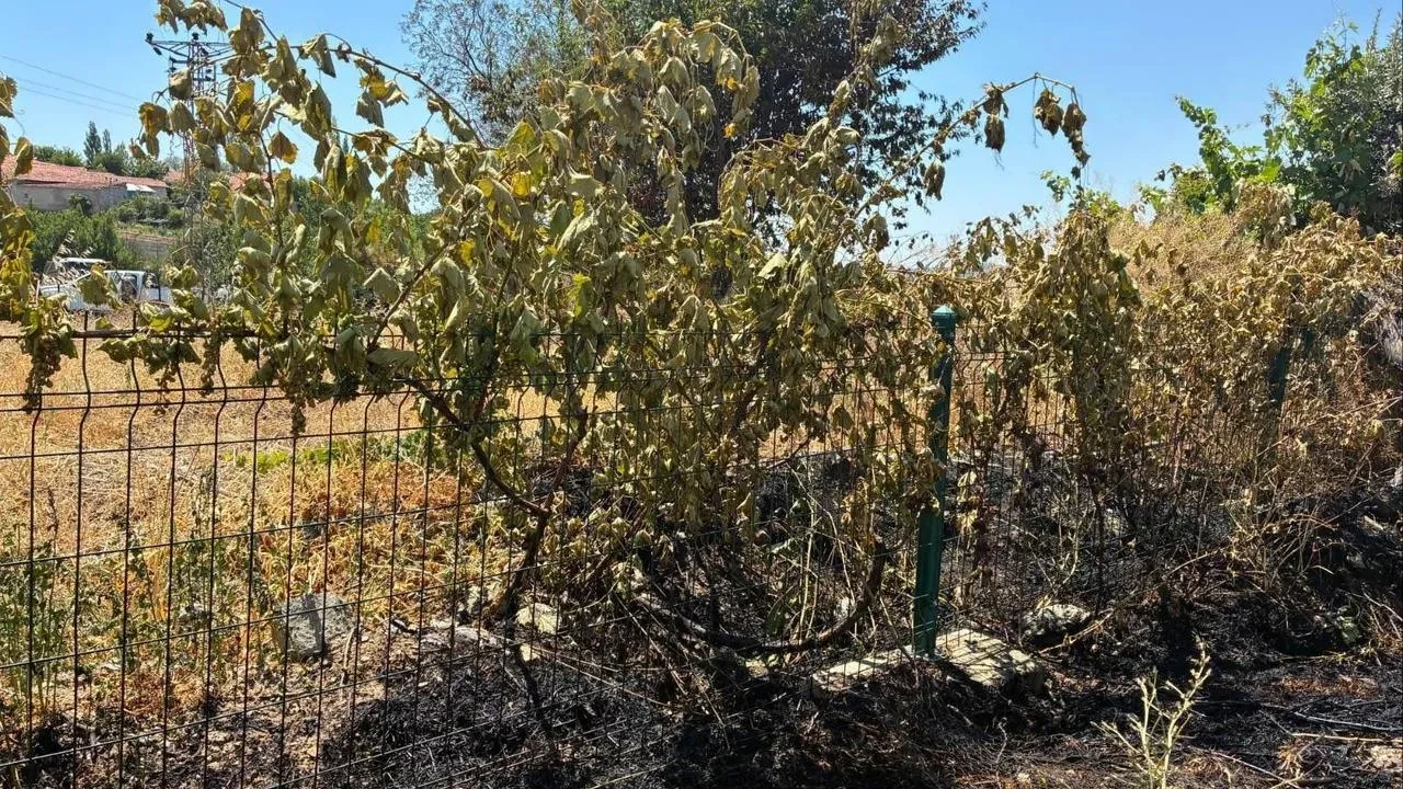 Yozgat'ta ÇEDAŞ kablosundan çıkan yangın tarlaları küle çevirdi