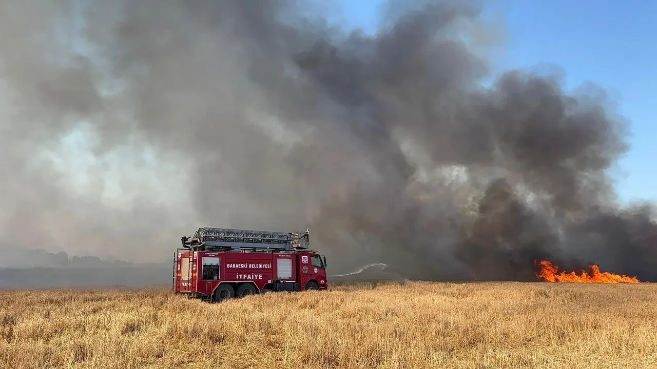 Babaeski tarlasında başlayan yangın askeri alana yayıldı