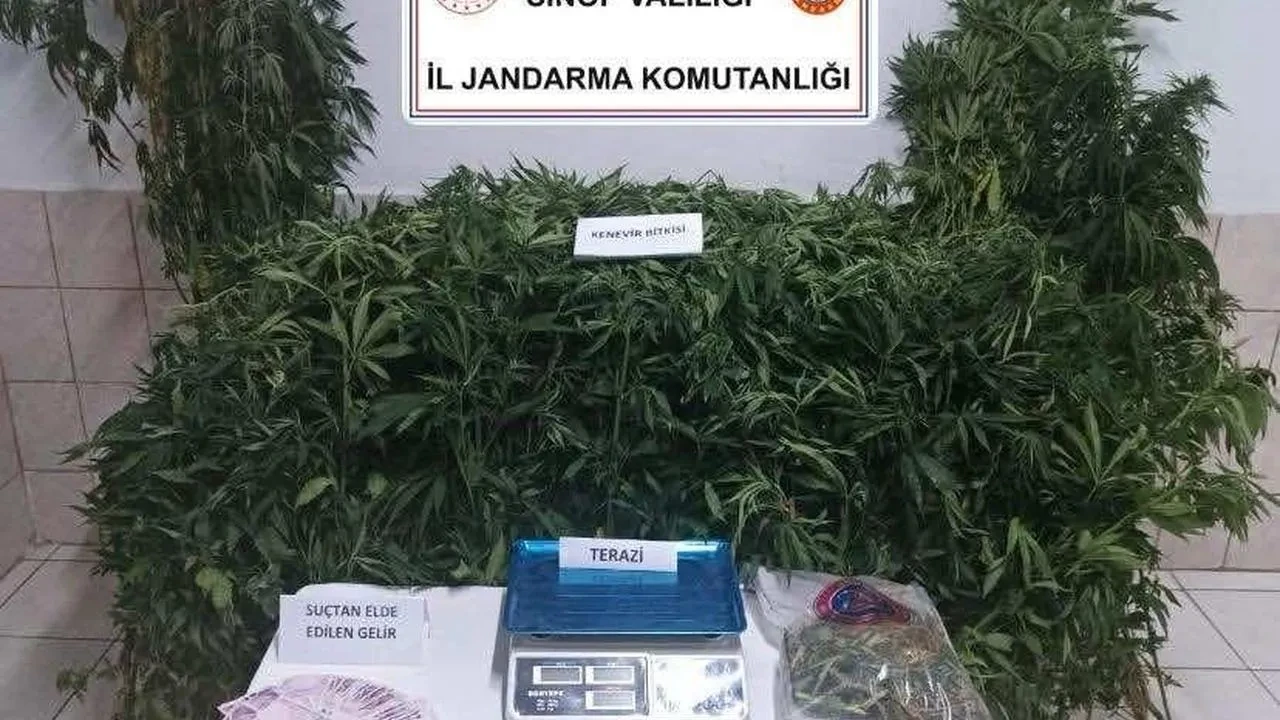 Sinop’ta Jandarma Uyuşturucu Operasyonunda 1 Kişi Tutuklandı