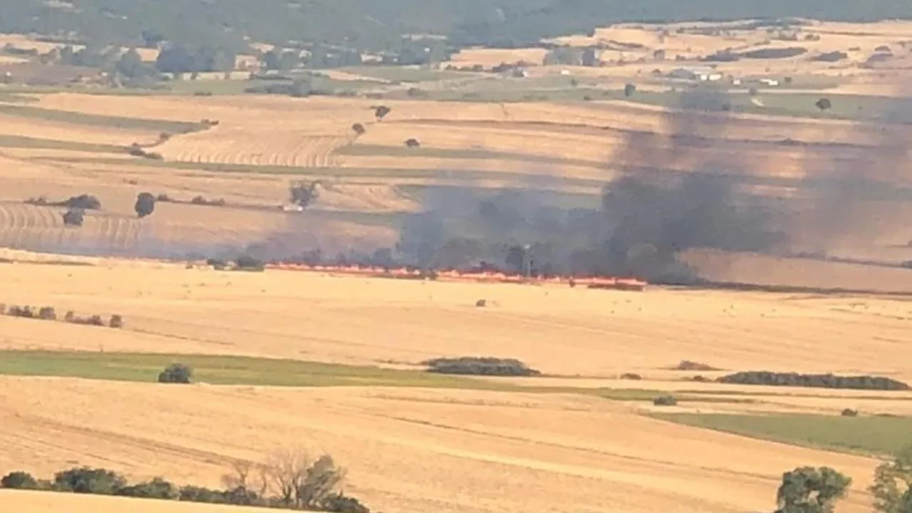 Malkara'da anız yangını 200 dönüm buğday tarlasını yok etti
